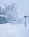 Massive winter storm paralyses 40% of US population46