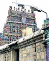 The New Indian Express