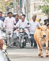 The New Indian Express Chennai