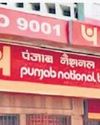 PNB profit surges 12.54%; eyes 12-13% loan expansion in FY2750