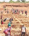 The New Indian Express