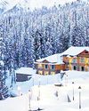 Snow in higher reaches of J&K beckons tourists