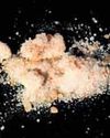 MP police bust synthetic drug racket running as poultry farm, kingpin held24