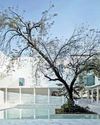 Discover Gujarat's Samrat Samprati Museum41