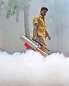 ‘Conduct survey to find mosquito hotspots in TN’12
