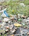 Waste dumping by CCMC polluting pond in Perur