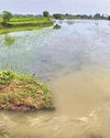 Farmers decry crop loss as rain batters Nellai