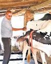 From Gujarat school dropout to dairy trailblazer21