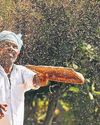 The New Indian Express Coimbatore