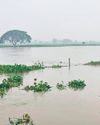 Heavy overnight rain in Thanjavur, over 15,000 acres of paddy fields inundated