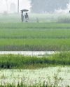 Mettur dam nearing full capacity