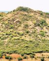 Nagamalai hillock in Erode is TN’s 4th Biodiversity Heritage Site2