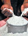 Low demand, poor oversight: The ‘sago’ of Salem’s tapioca pearls The New Indian Express Tiruchy