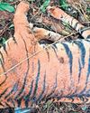 Liquor bottles in reserve forest puts animals at peril