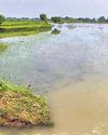 Sattupathu farmers decry paddy crop loss as rain batters Nellai dist