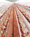 Namakkal poultry farms on high alert amid bird flu outbreak in Kerala2
