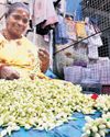 The New Indian Express Tirunelveli