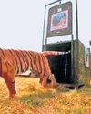 The Explorer's signals from the Eastern Ghats22