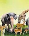 ONLY TWO OUT OF 23 NATIONAL BIODIVERSITY TARGETS ON TRACK23