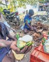 A FRAGILE DELICACY WITH FIRM ROOTS46