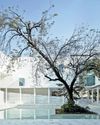 Discover Gujarat's Samrat Samprati Museum20