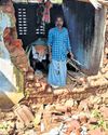 Houses damaged due to rain, tribals want govt to build new dwellings