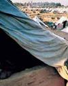 Govt frees 3,700 kanals of Kashmiri Pandits’ land in anti-encroachment drive Govt frees 3,700 kanals of Kashmiri Pandits’ land in anti-encroachment drive31