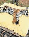 The New Indian Express Dharmapuri