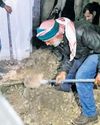 Families search for their loved ones in Saydnaya jail basement, dungeons