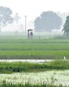 Mettur dam fast nearing full capacity