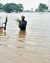 10,000 ha of paddy fields in coastal delta inundated