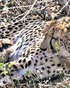 The New Indian Express Nagapattinam