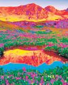 The best itinerary at Valley of Flowers The best itinerary at Valley of Flowers16