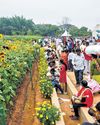 Coconut-pluckers to driverless tractors, Krishi Mela ends on high note