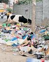 'Stink': Waste strewn on Nallurhalli Road a bane for residents