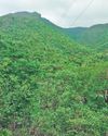 Mining proposal threat to medicinal plants in Sandur