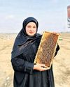 The Bee Queen of Kashmir11