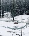 Kashmir turns white in season’s first snowfall6