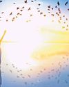 Liberation: The Unanimous Goal of Faith23