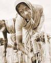 Bengal in the Times of Gandhi Land23
