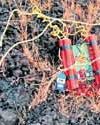 J’khand police rope in surrendered Naxals to neutralise IEDs in Saranda J’khand police rope in surrendered Naxals to neutralise IEDs in Saranda13