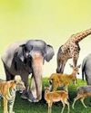 ONLY TWO OUT OF 23 NATIONAL BIODIVERSITY TARGETS ON TRACK The New Indian Express Shivamogga