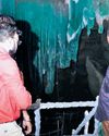 'Eco-tourism' in Bastar under lens8