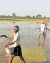 40% farmers linked to coops see improved yields3