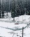 Kashmir turns white in season’s first snowfall6