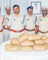 17 arrested, 32 kg of ganja seized in Srikalahasti