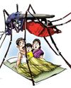 Vacant plots to blame for mosquito menace