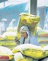 UltraTech's India Cement buyout under CCI scrutiny