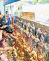 Subramanya Shasti fest celebrated with gaiety