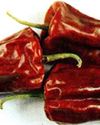 Warangal Chapata Chilli, famous as Tomato Chilli, to get GI tag